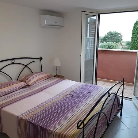 La Volpe E L'uva Santa Marinella