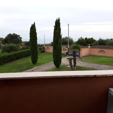 La Volpe E L'uva