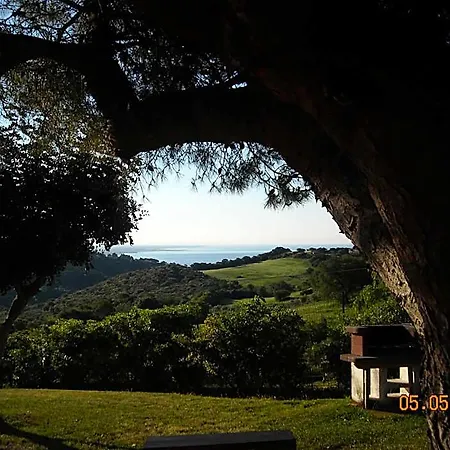 La Volpe E L'uva Bed & Breakfast Santa Marinella